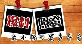 重庆永川新闻爆料,聚焦当地热点事件，揭示真相与进展