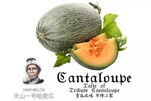 吃网红瓜的网站推荐,跟随网站探索热门八卦背后的真相